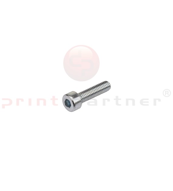 Allen screw for Heidelberg